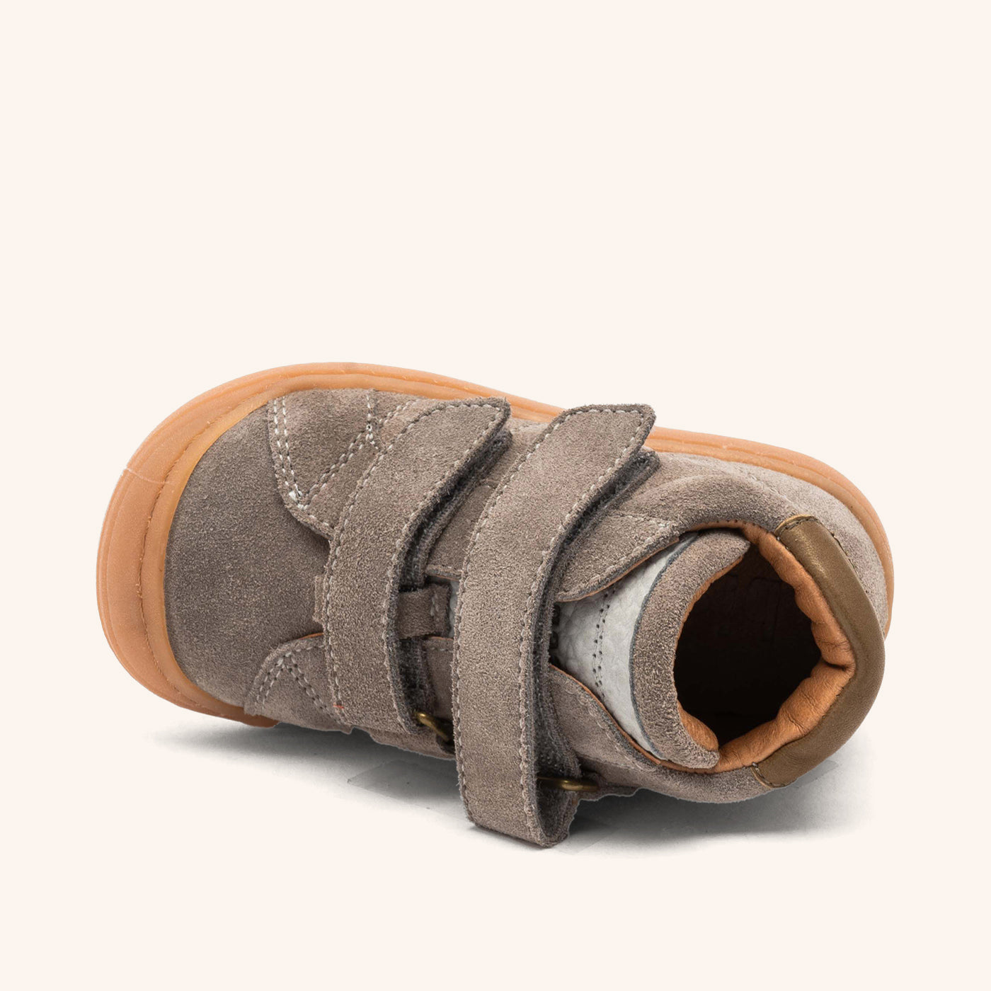 bisgaard thor v grey