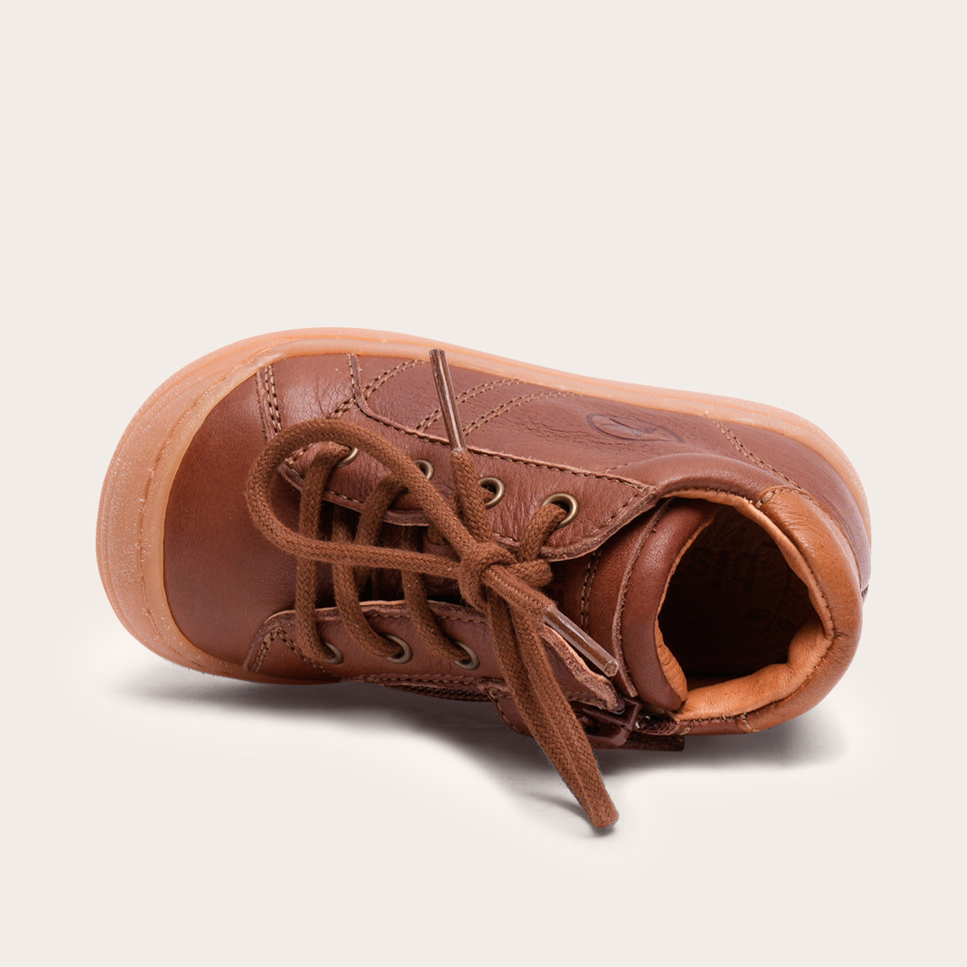 bisgaard thor z brandy