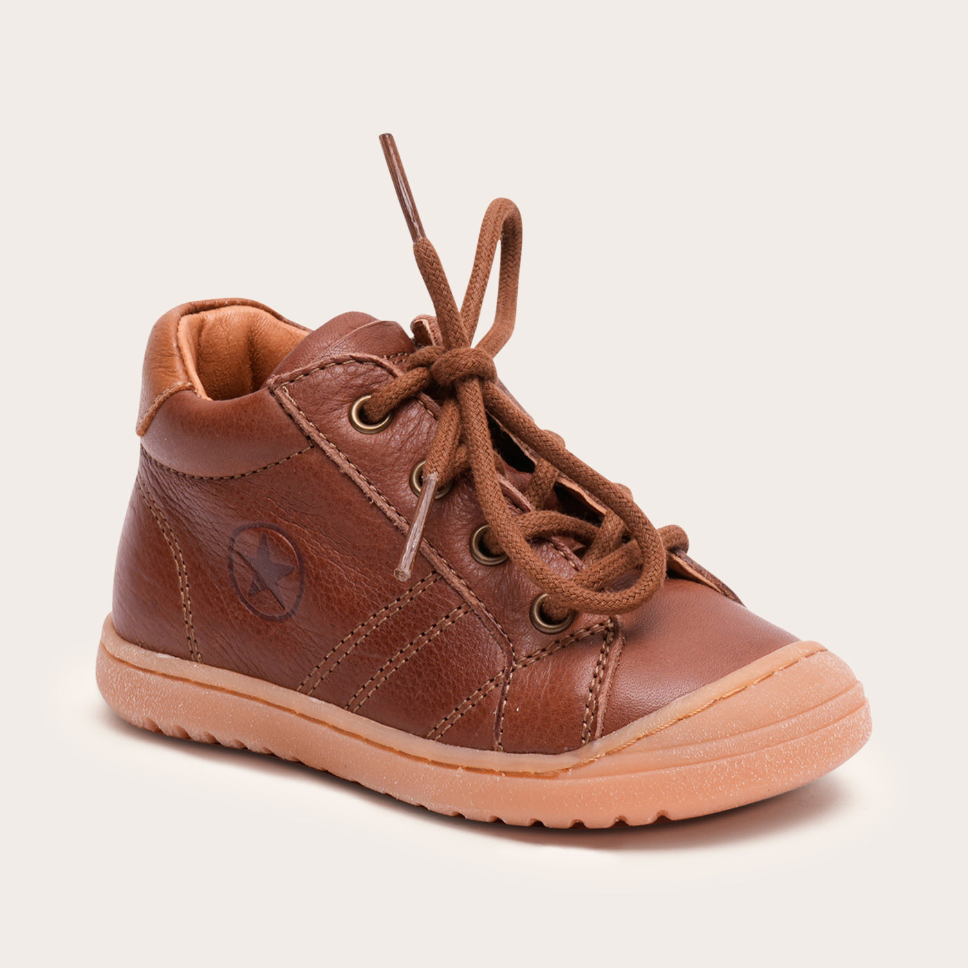 bisgaard thor z brandy