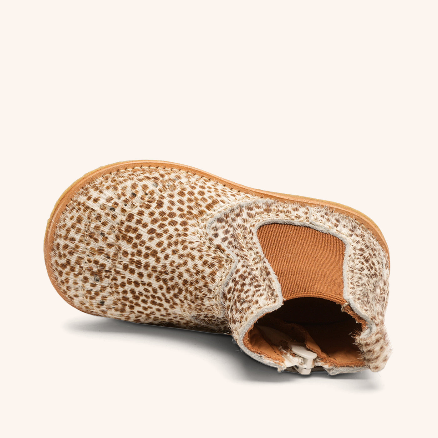 bisgaard sus bambi fur