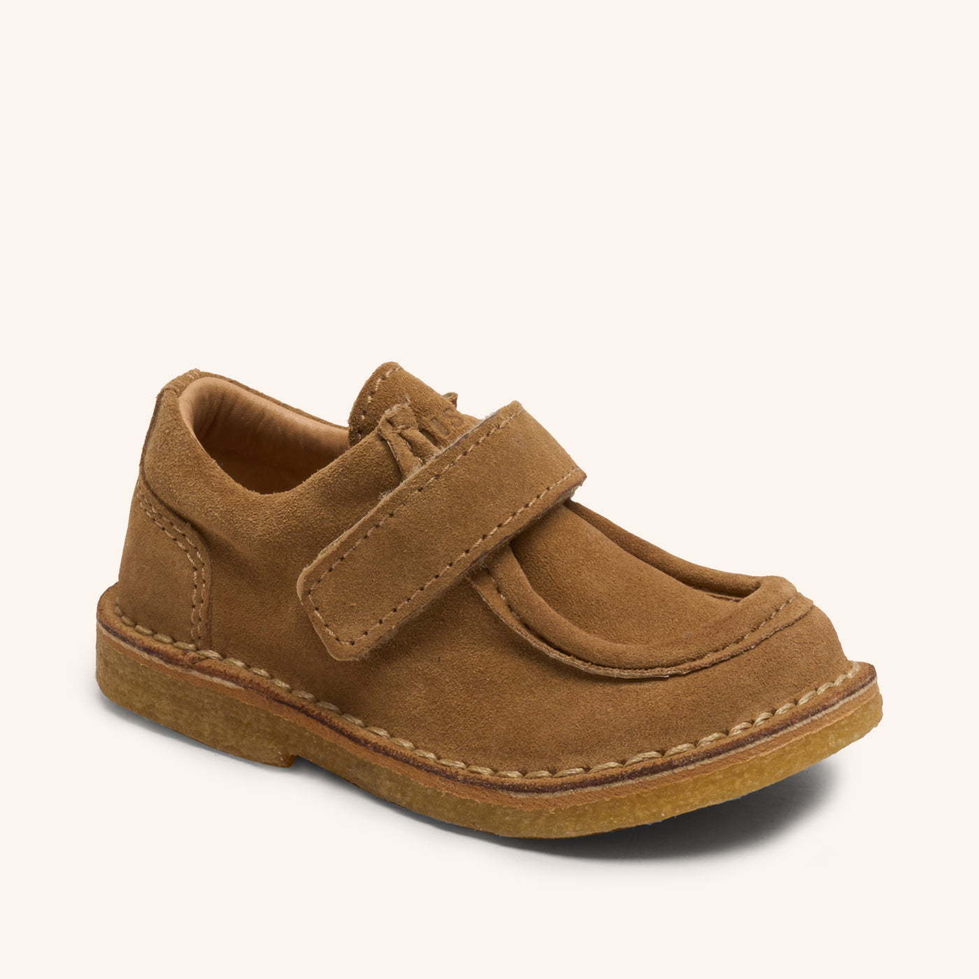 bisgaard holden v brandy