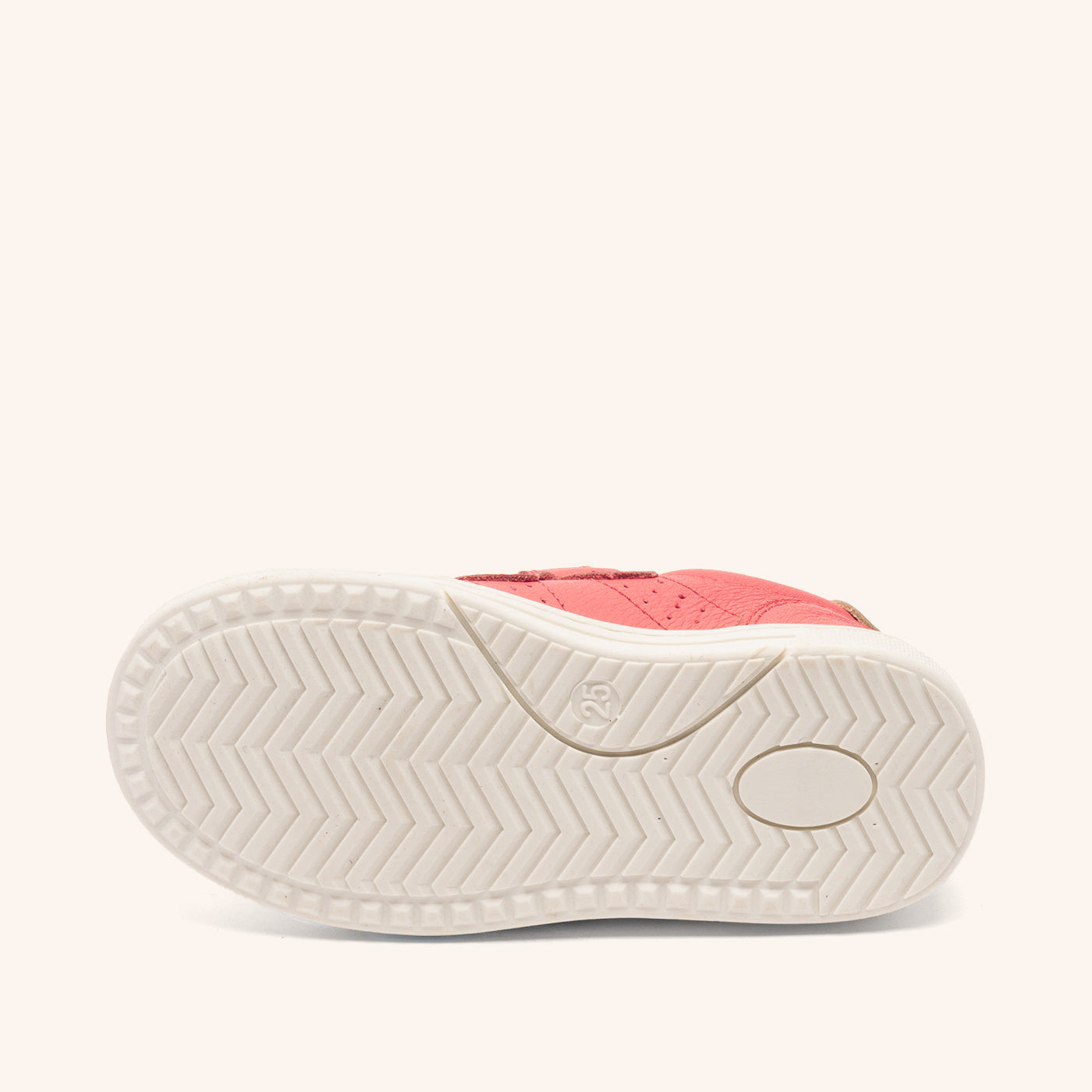 bisgaard rob dragon fruit