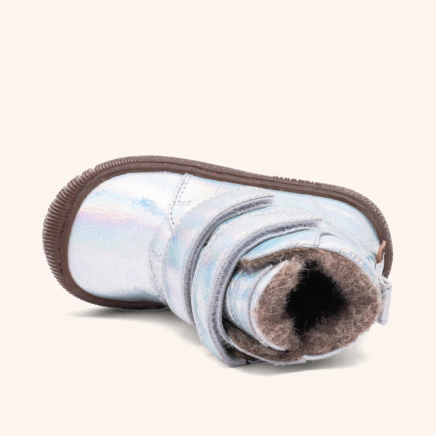 bisgaard evon tex galaxy