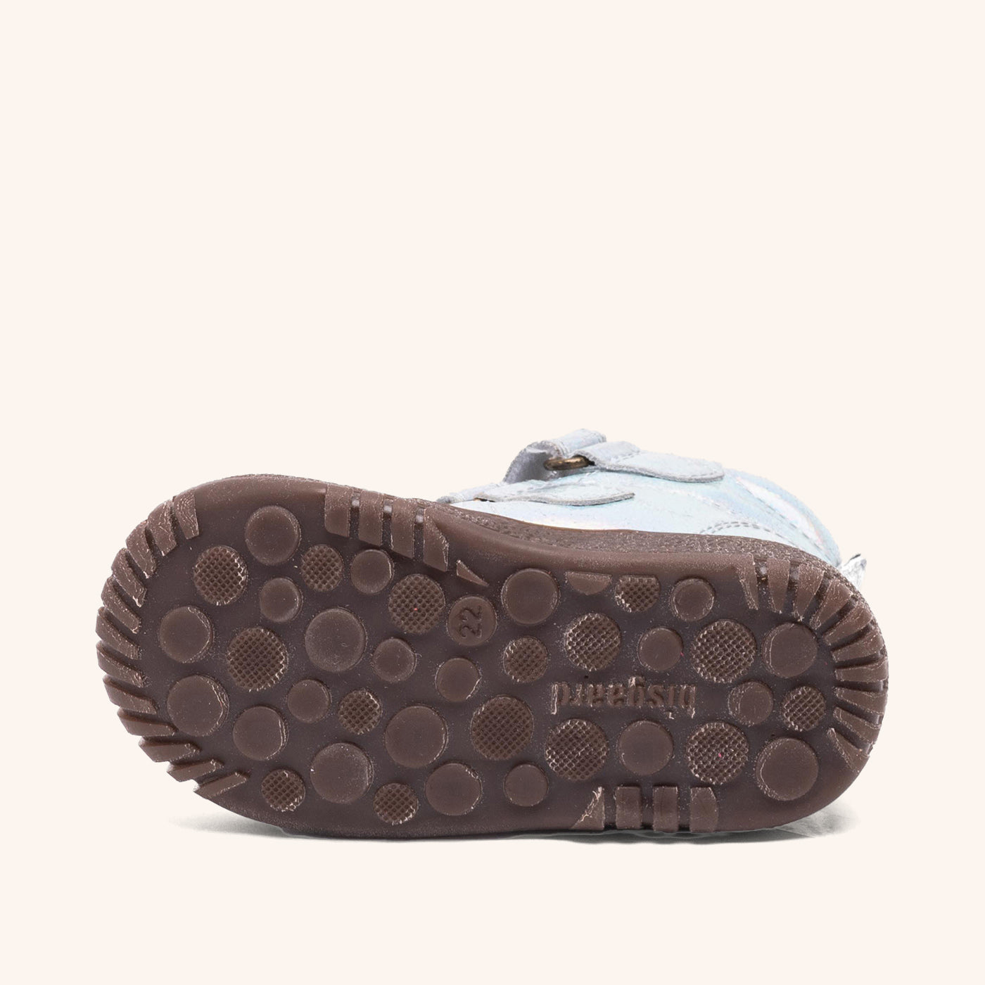 bisgaard evon tex galaxy