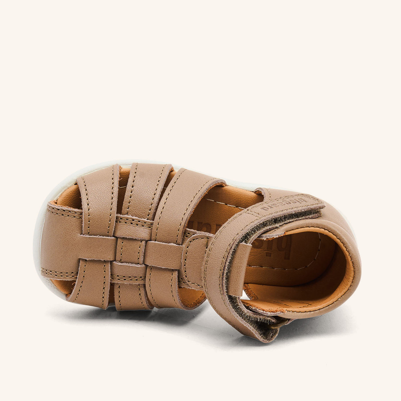 bisgaard carly stone