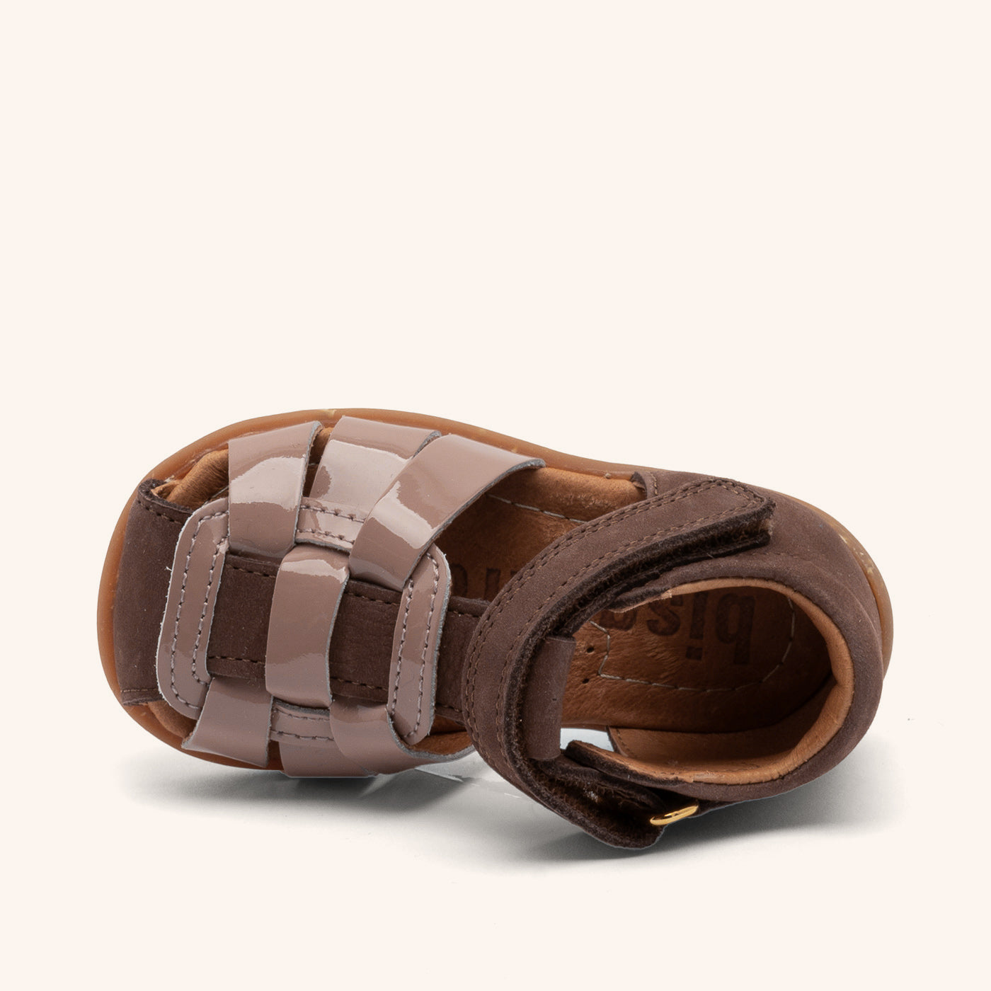 bisgaard jessie brown