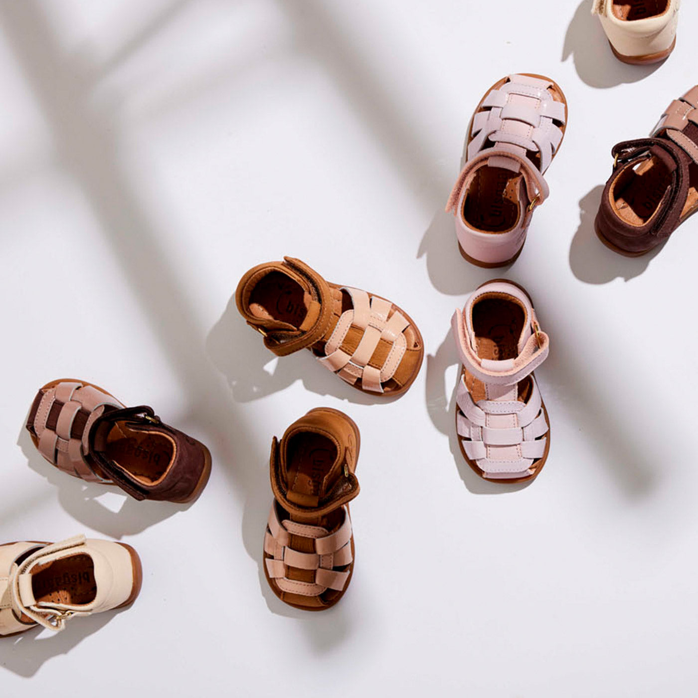 bisgaard jessie brown