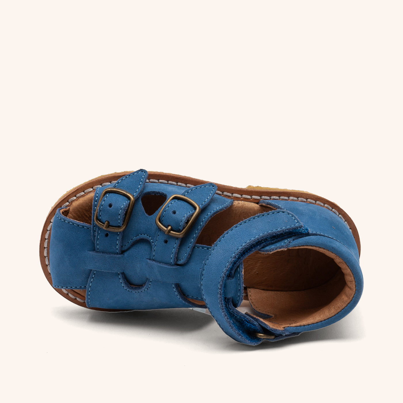 bisgaard steph blueberry