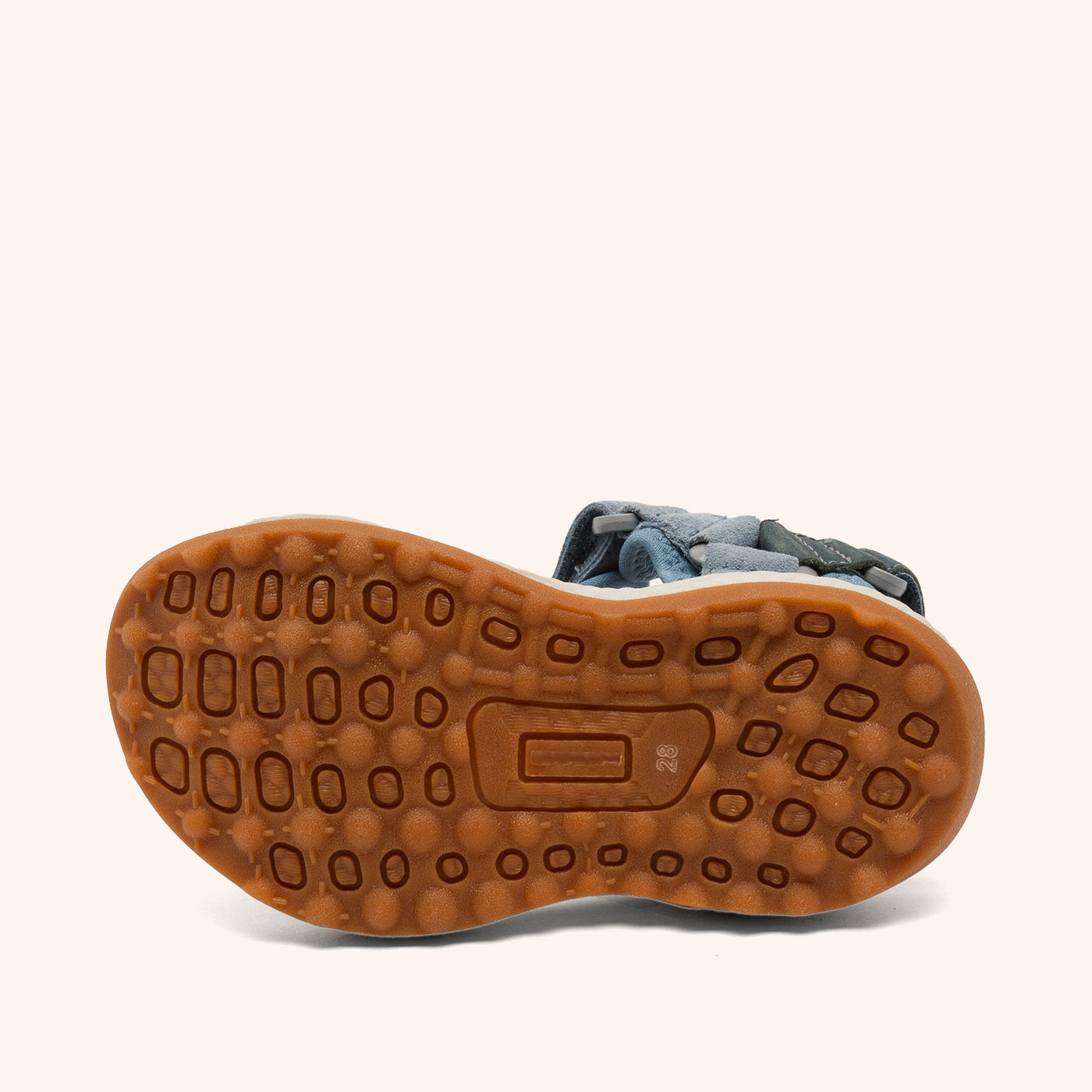 bisgaard raden whale