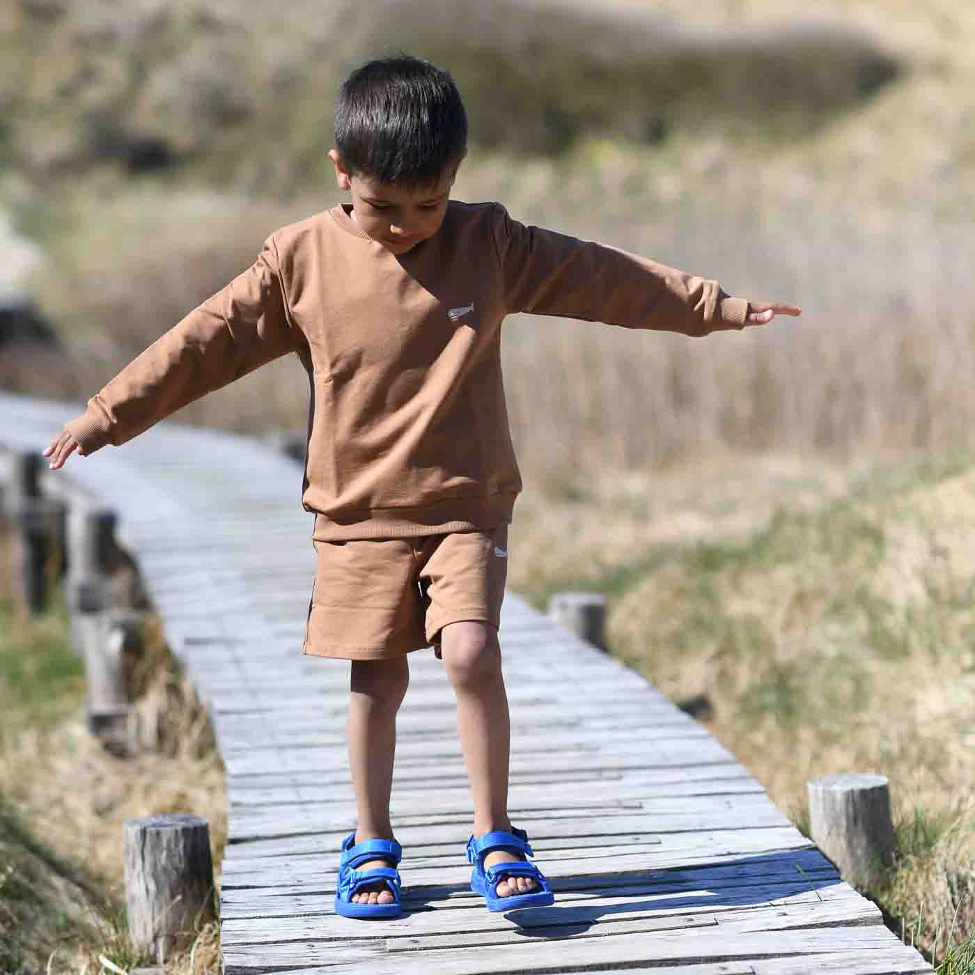 bisgaard louis cobalt