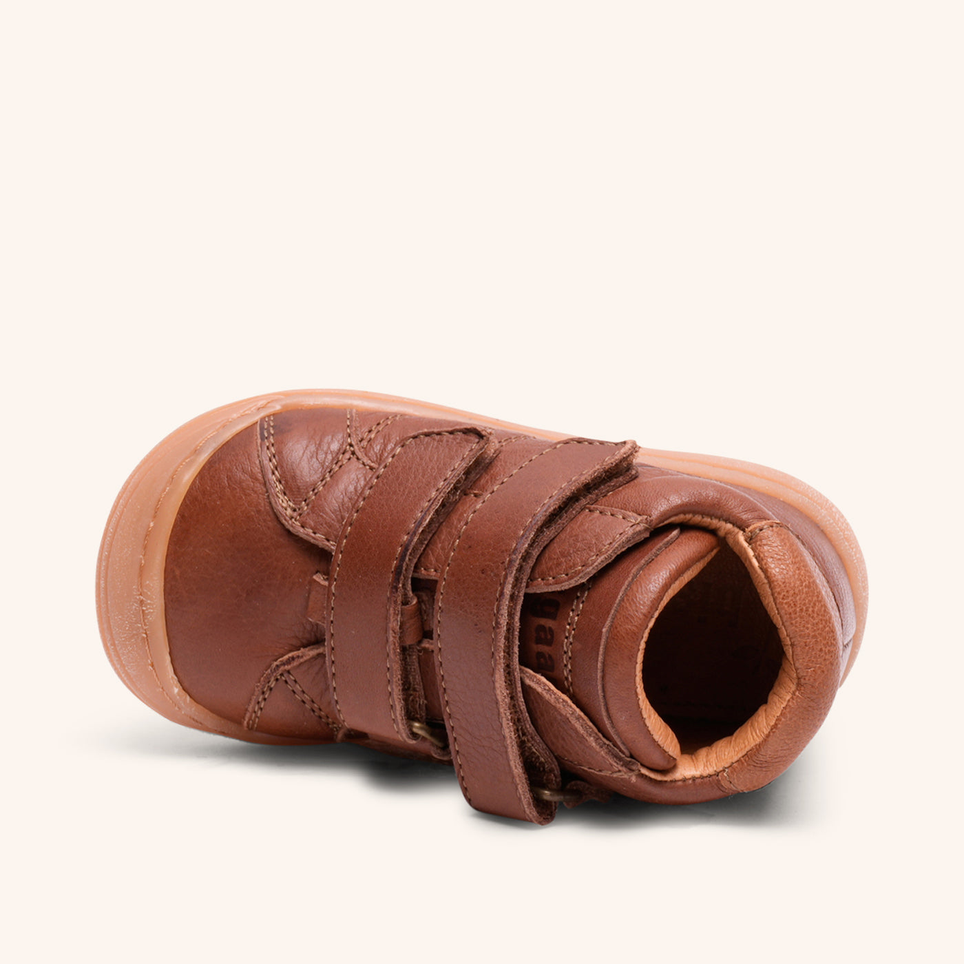 bisgaard thor v brandy