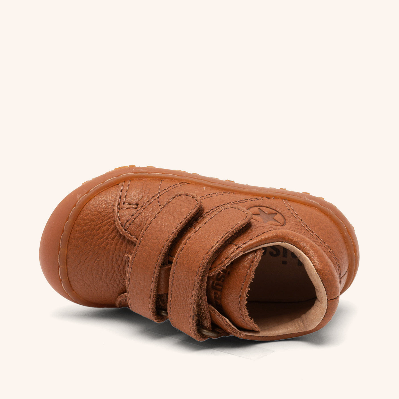 bisgaard hale v  tan