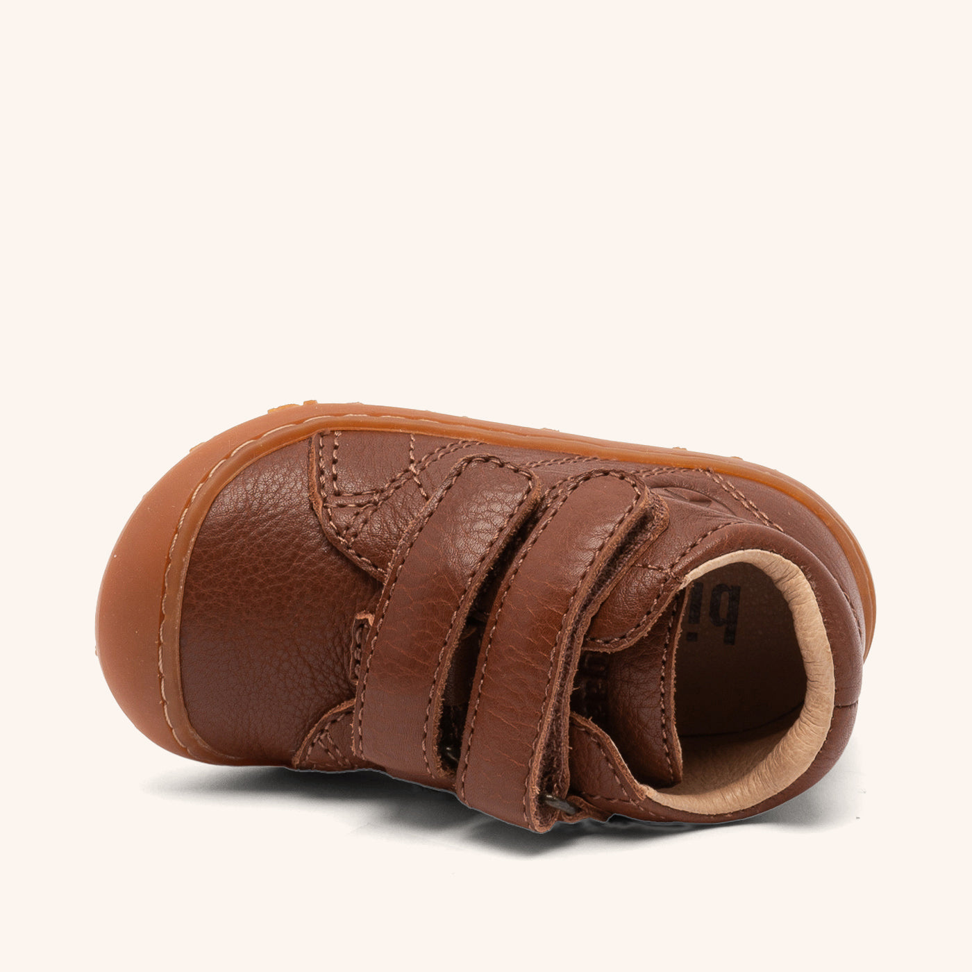 bisgaard barefoot hale v  brandy