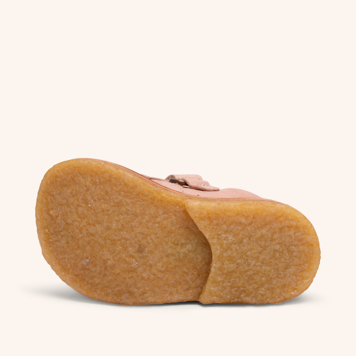 bisgaard holden v vanilla