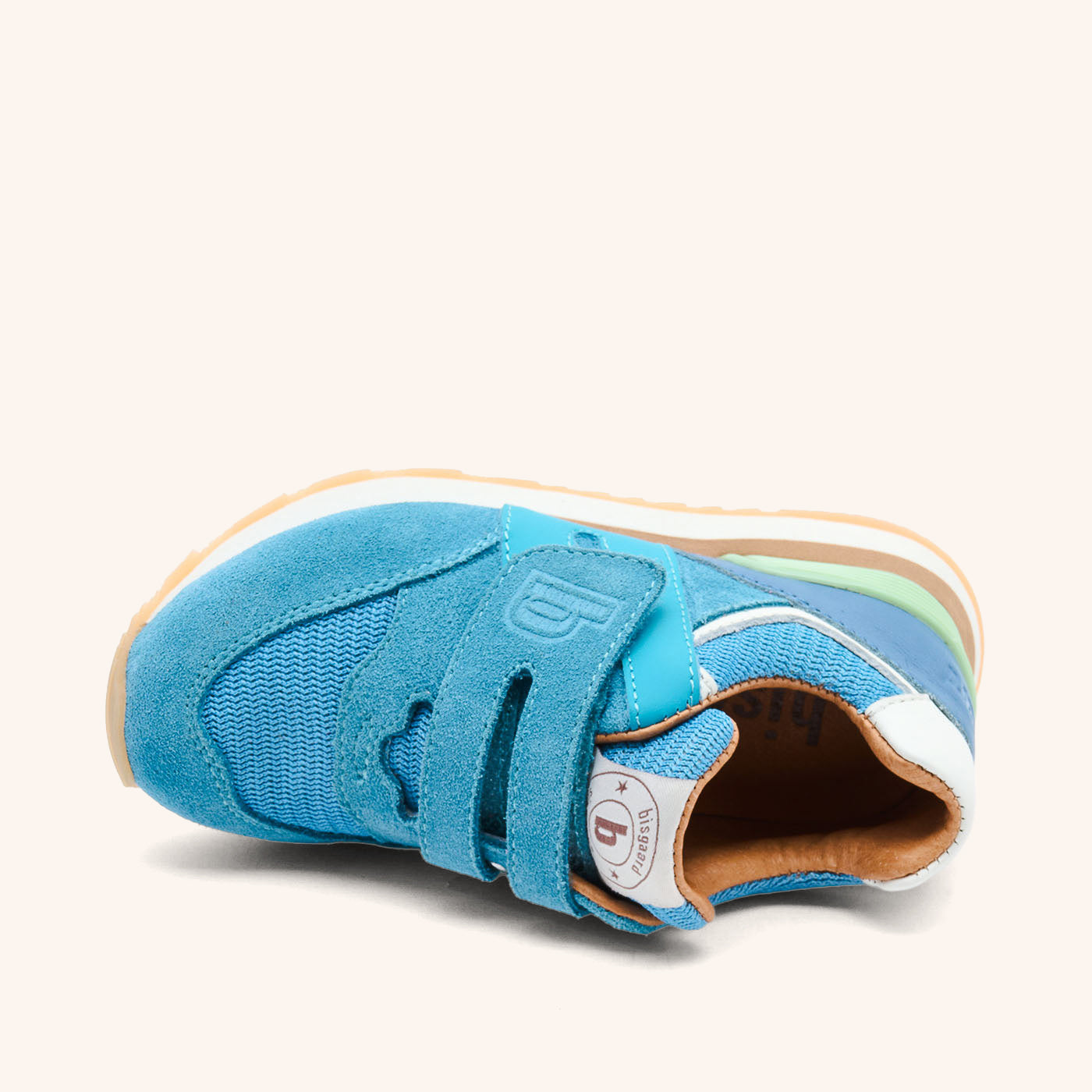 bisgaard winston sky