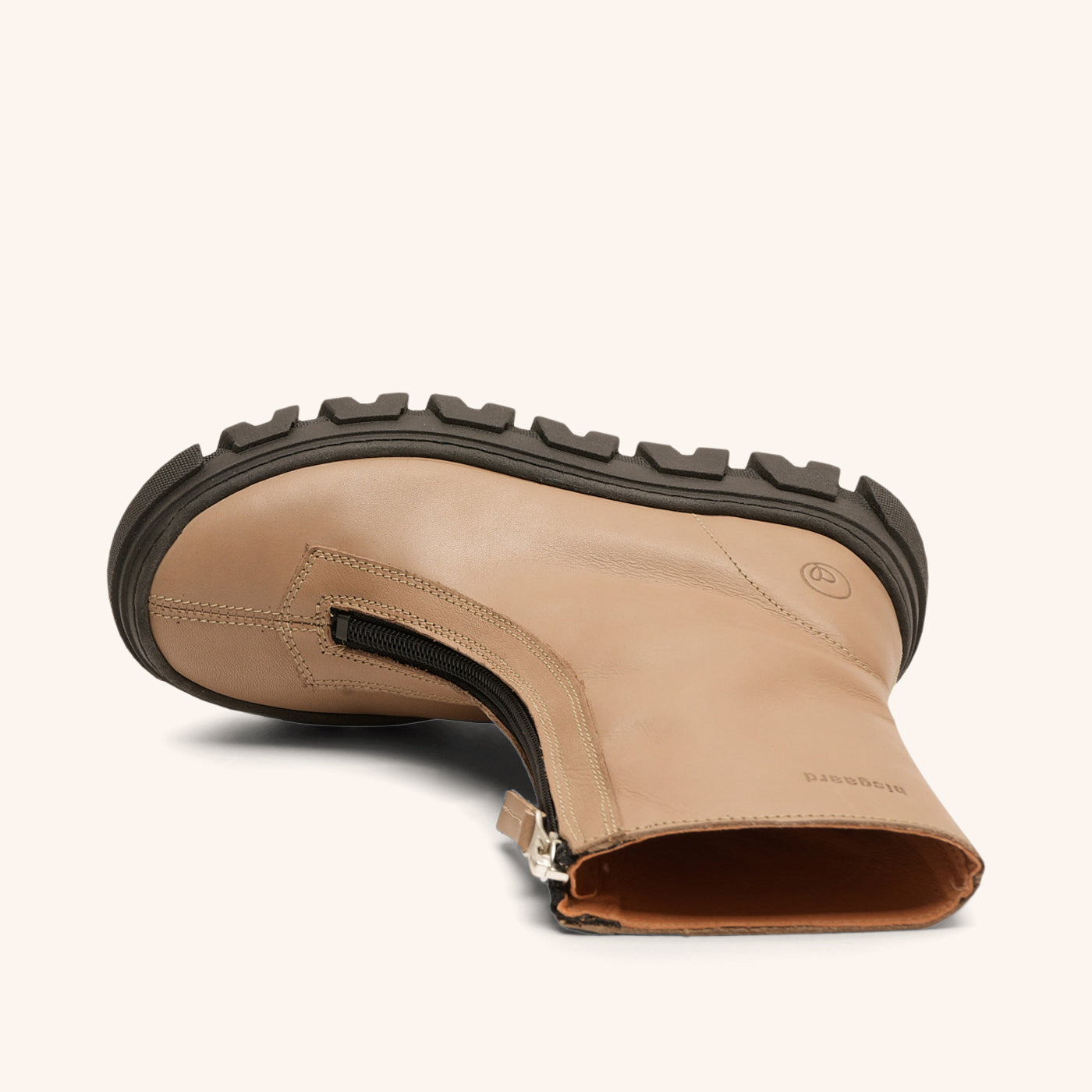 bisgaard nomi tortora