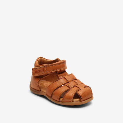 bisgaard carly brandy