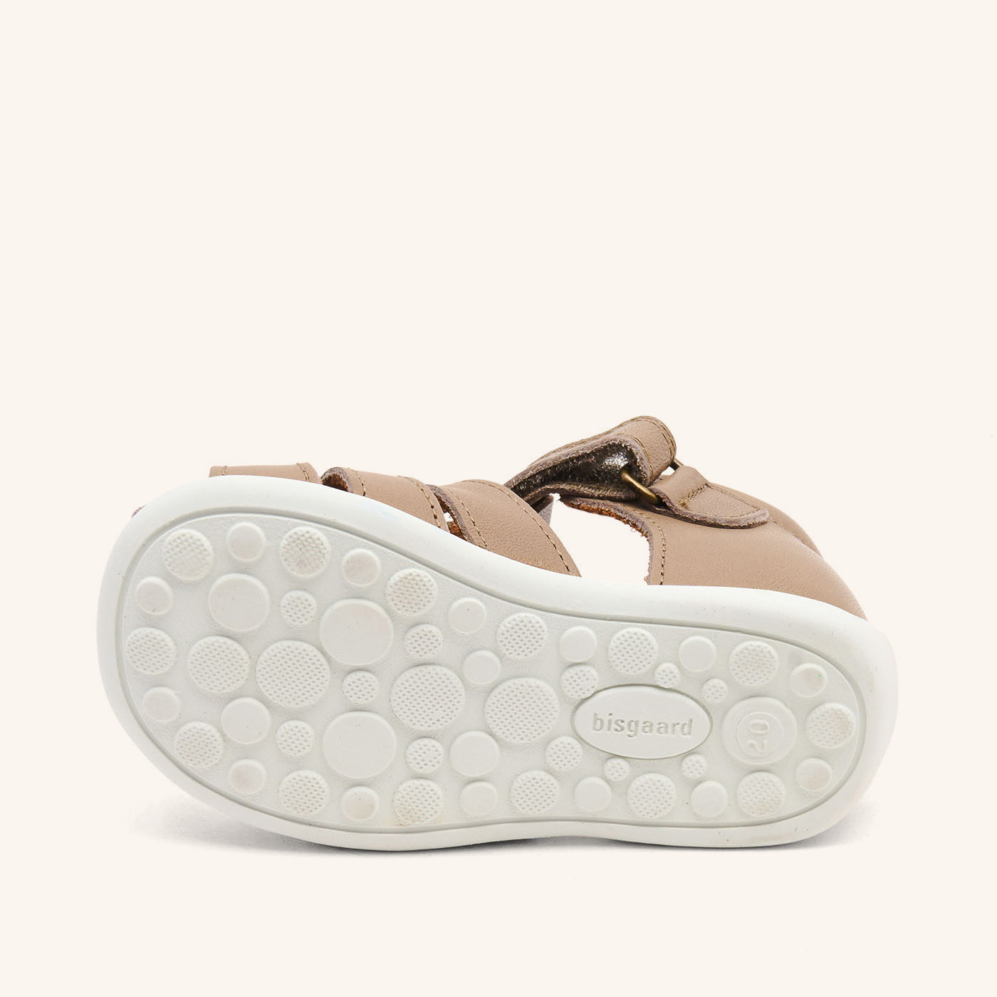 bisgaard carly stone