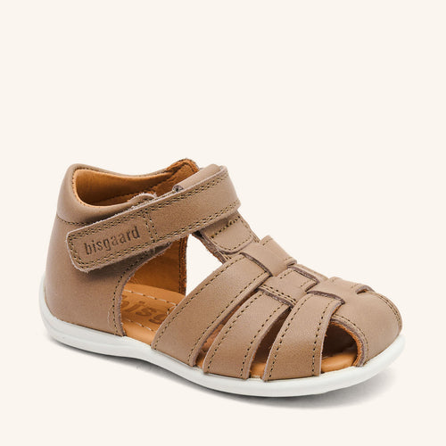 bisgaard carly stone