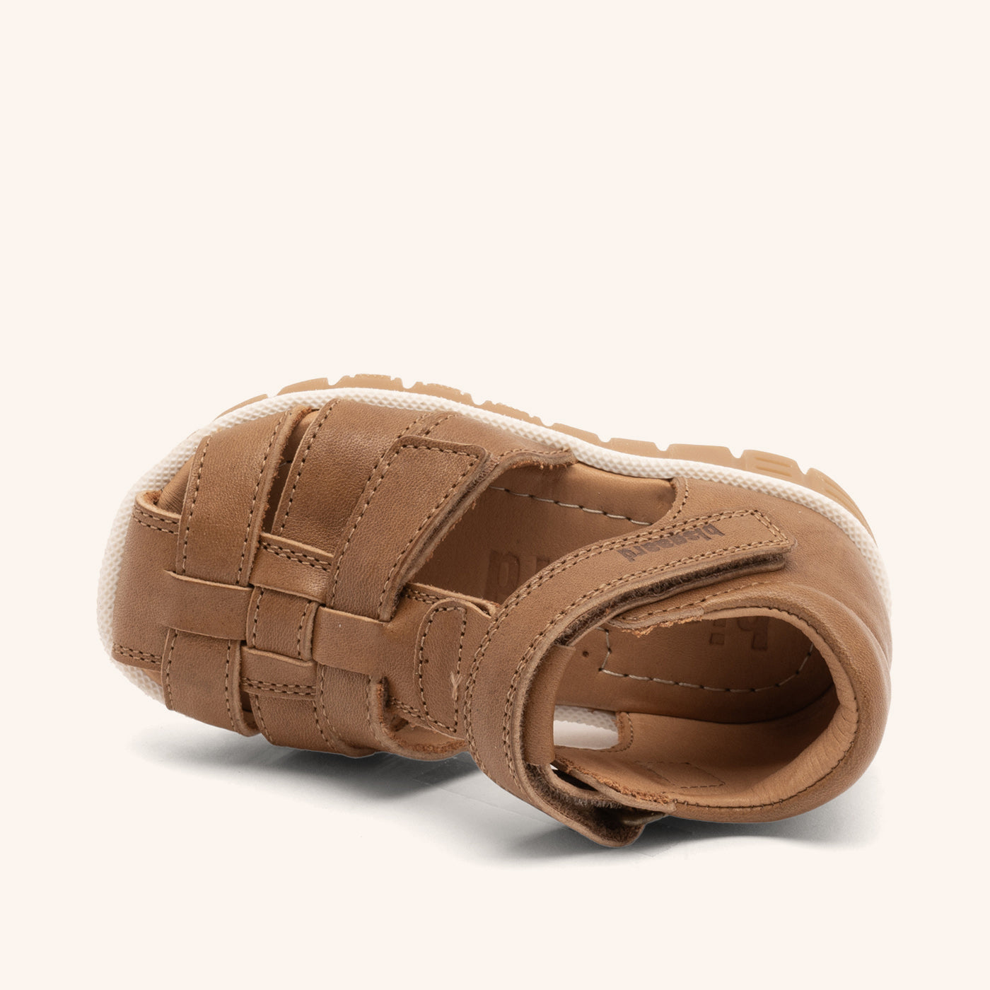 bisgaard angus coffee