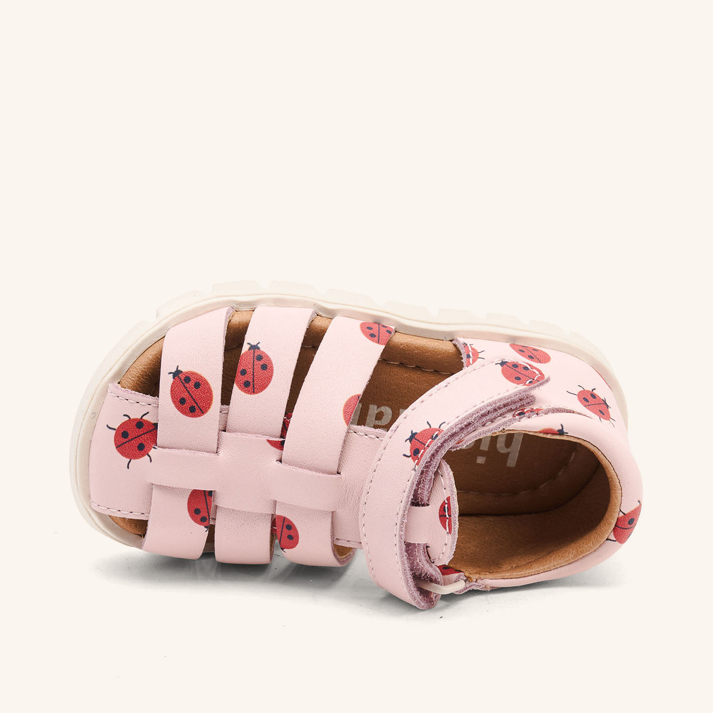 bisgaard beka s lady bugs