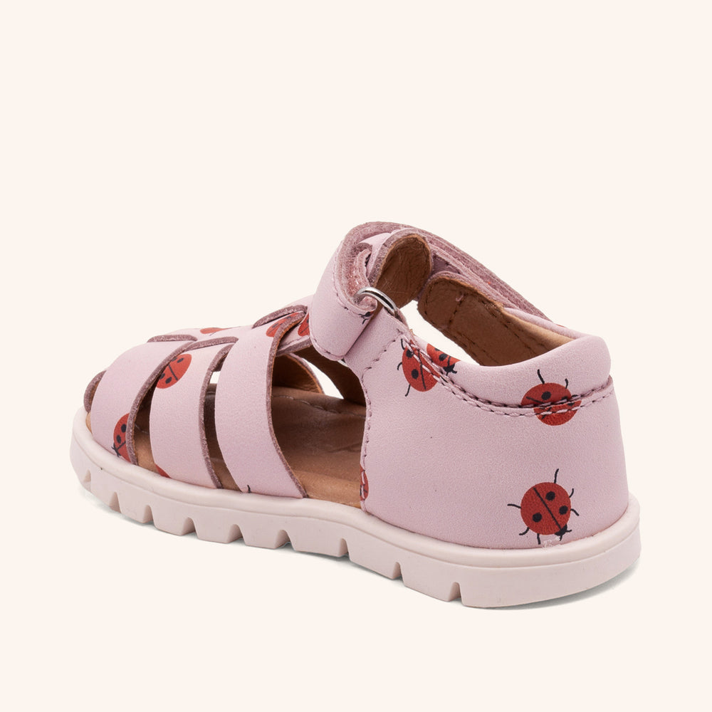 bisgaard beka s lady bugs