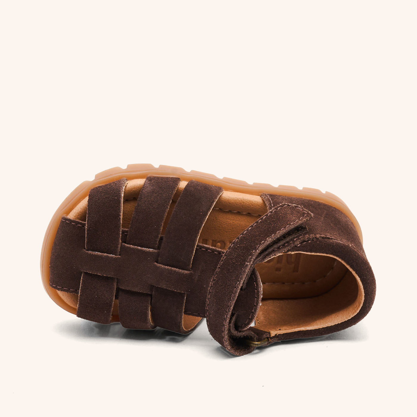 bisgaard beka s cacao