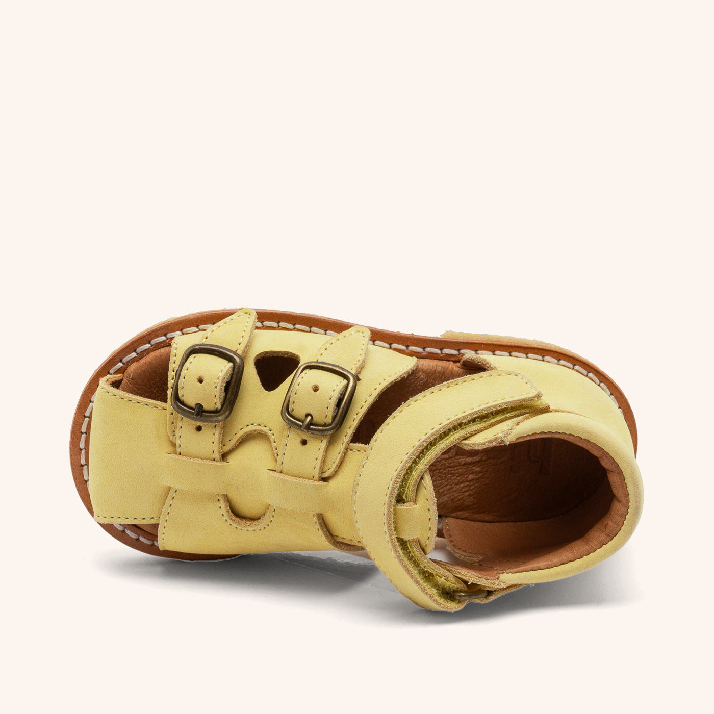 bisgaard steph lemon