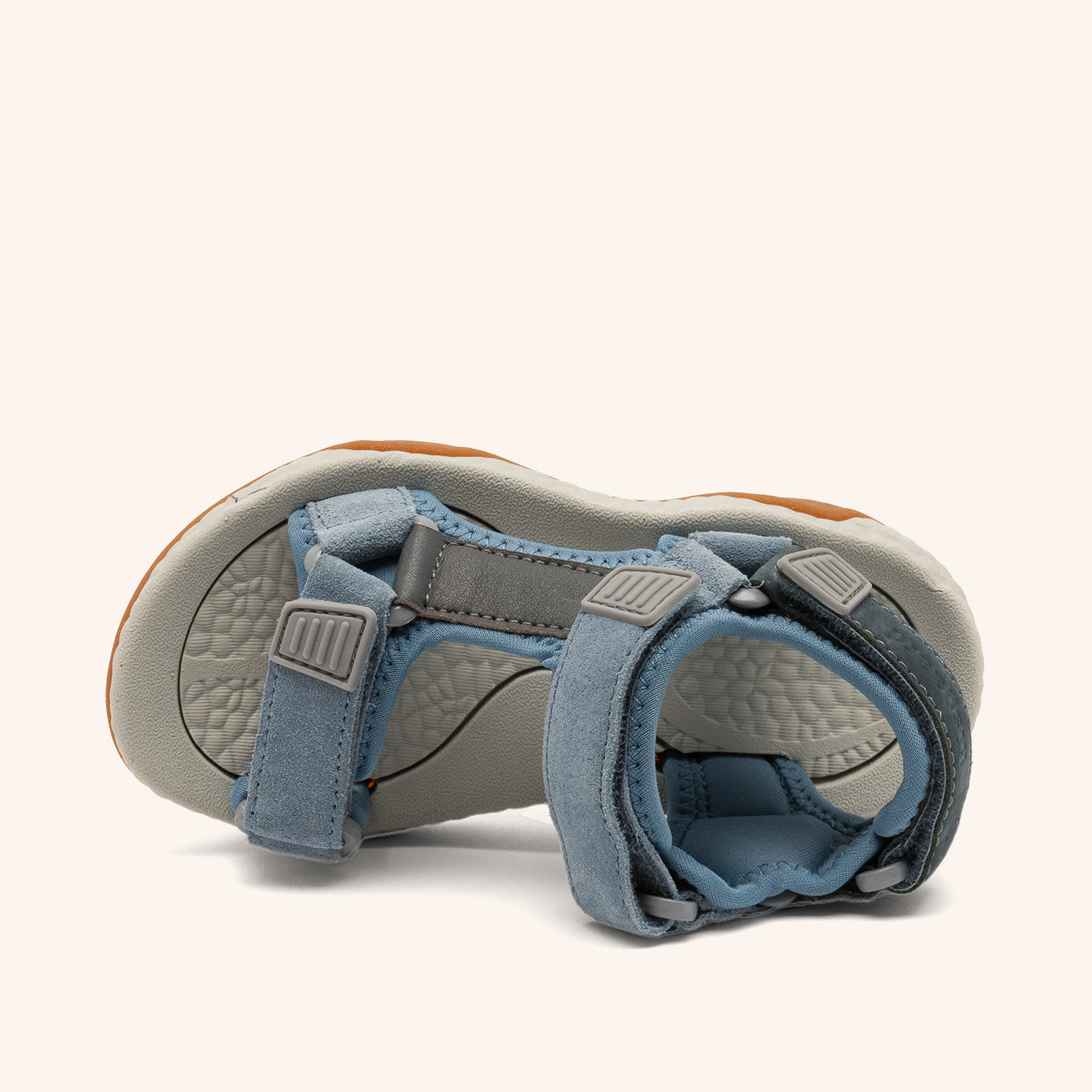 bisgaard raden whale