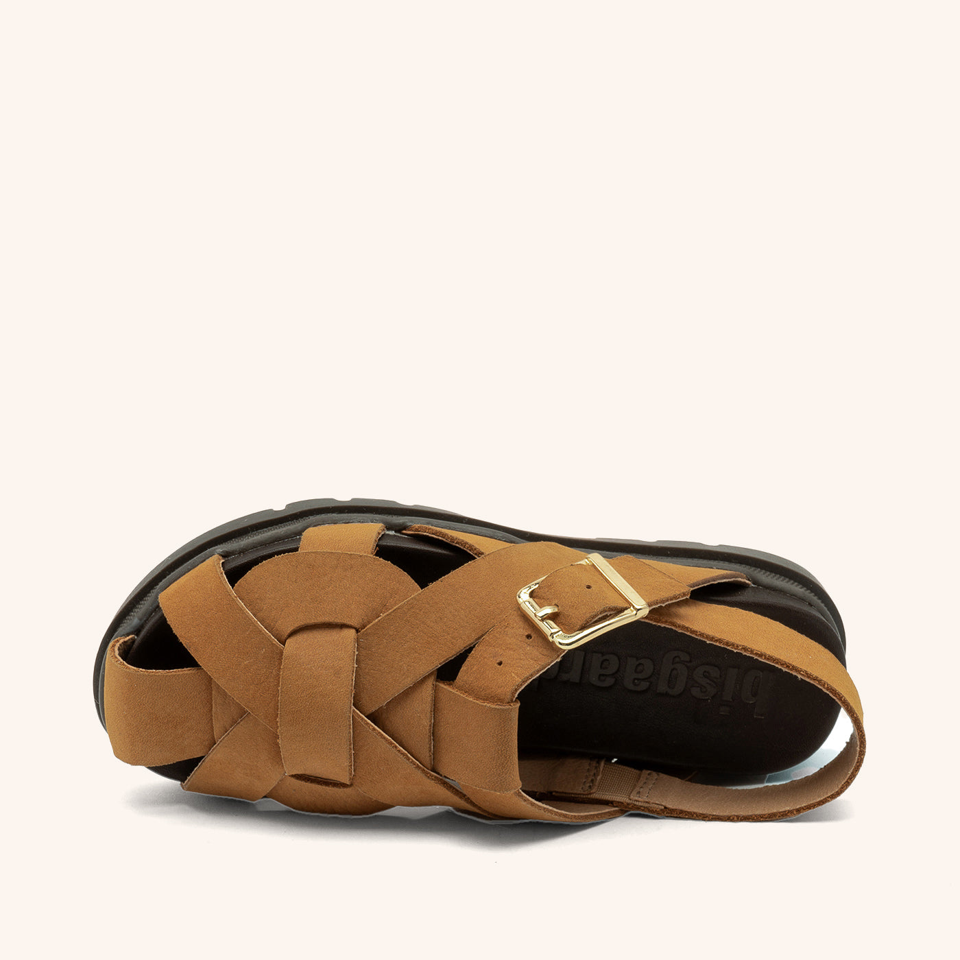 bisgaard arda camel